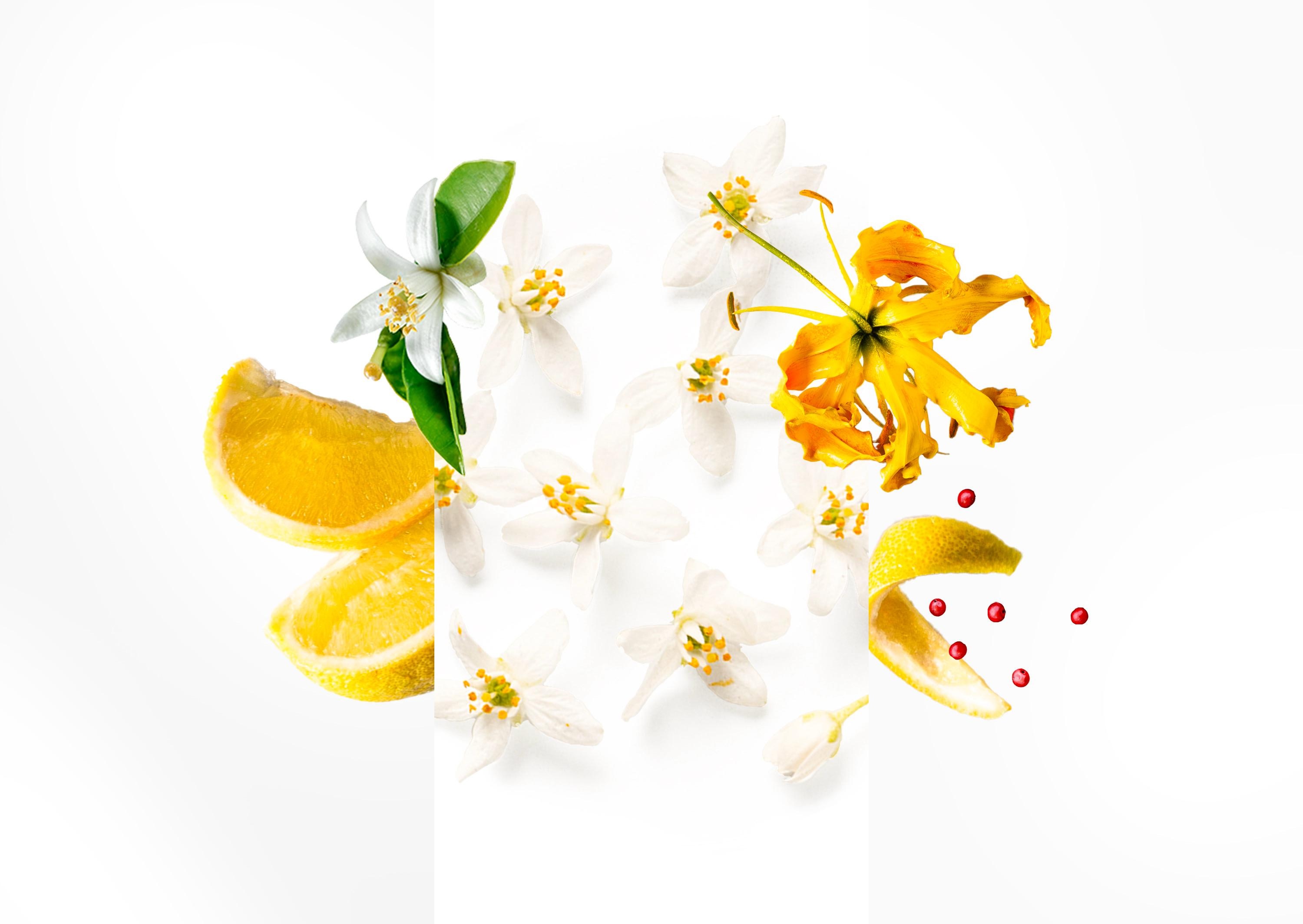 WhatsApp Image 2026-02-08 at 11.45.56 (2)